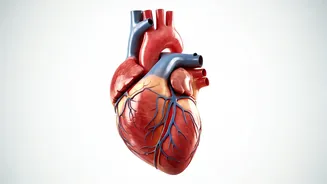Try These 7 Exercises For A Healthy Heart