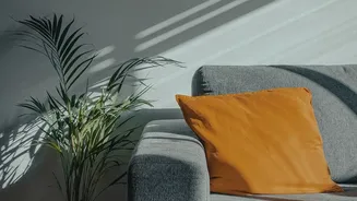 The 2026 Bold-Sofa Revival Is a Reminder to Review Fabric Care