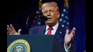 Donald Trump Declines To Rule Out Force To Annexe Greenland: 'No Comment'