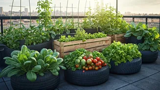 How To Build Productive Rooftop Garden Without Expensive Tools