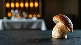 Rugda Gives Monsoon Eating A Luxury Twist
