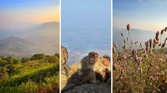 Related Stories banner