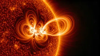Unveiling the Sun's Coronal Rain Secrets