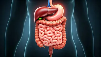 Gut Health on the Decline: Unpacking the Rise of Digestive and Liver Issues in Young Indians