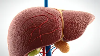 Unveiling Nutrient Deficiencies: A Comprehensive Guide