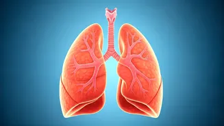 Breathing Easier: Lifestyle for Lung Health