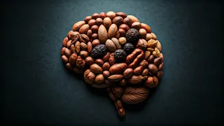 Unlock Your Mind: 5 African Super-Nuts for Peak Brain Health