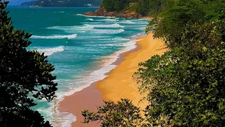 Goa’s Off-Season Is Winning Hearts With Quiet Beaches And Lush Views