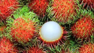 Elevate your dishes with rambutan seeds