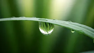 Unlock Youthful Skin: 5 Essential Habits to Combat Aging Gracefully