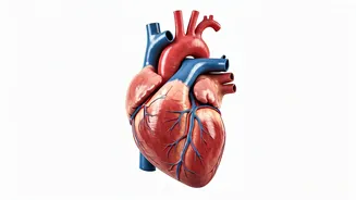 Feeling Down? Longevity Secrets from a New Study