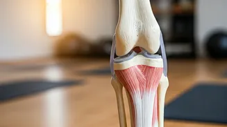 Yoga for Knees: 6 Asanas for Joint Health