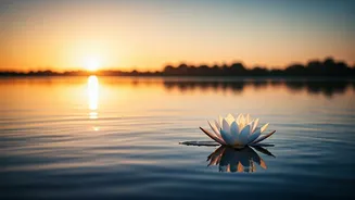 Bhagavad Gita's Wisdom: Upholding Dignity When Emotions Test You