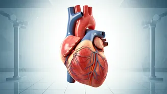 Health News: Key Insights and Trends