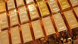 DRI busts major gold smuggling racket at Mumbai airport; 24 women held with ₹37.7 crore haul