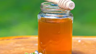 Exploring Calories from Honey and Table Sugar in Honey Versus Sugar Nutrition Comparison