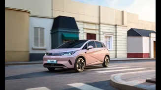 BYD encara 8 meses de queda em vendas, apesar de alta no Brasil