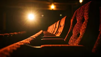 Karan Johar's Disappointment: Ibrahim's Film Criticism
