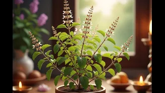 Tulsi Vivah 2025: Date, Muhurat, Story, Rituals And 10 Heartfelt Wishes