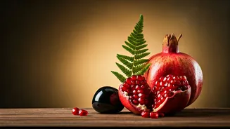 The Ultimate Longevity Guide For Health Conscious Indian Professionals