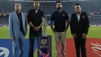 Related Stories banner