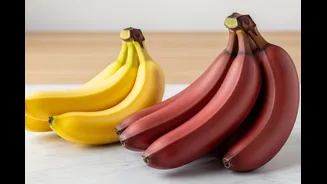 Which Indian City Is Called The Banana Capital Of India? Read On To Find Out