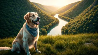 Indian Pet Parents Are Choosing Slower Green Holidays