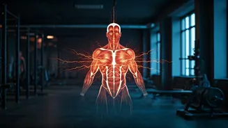 Related Stories banner