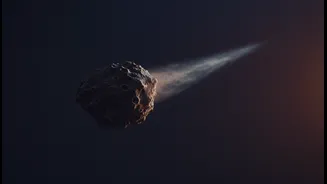 One Tail Does Not Resolve Every Dark-Comet Mystery: The Biggest Caveat In A Supposedly Inactive Space Rock