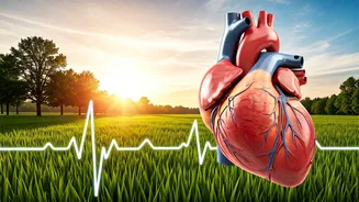 Healthy Heart: Walking for Wellness