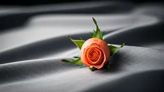 Honoring Mothers in 2026: Heartfelt Wishes, Messages, and Meaningful Tributes
