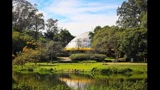 5 Tempat Wisata di Sao Paulo Brasil, Kota Penghasil Bintang Sepak Bola!