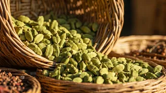 Indian Cardamom's Global Resurgence: A Spice Story