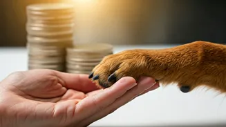 Why Mindful Pet Wellness Routines Prevent Expensive Emergency Vet Surgeries