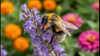 Low-Maintenance Plants That Help Local Pollinators Thrive