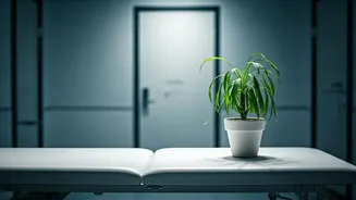 World Health Day 2026: Are Your Daily Habits Secretly Sabotaging Your Well-being?