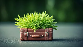 Micro-Cations Are The Anti-Annual-Leave Travel Hack