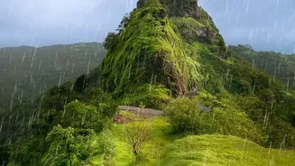 Don't Forget These Practical Essentials Before Your Monsoon Train Journey
