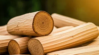 India's Sandalwood Revival: A Cultural & Economic Boost