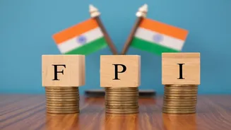 FPIs pump ₹14,610 cr into Indian equities in Oct; halt 3-month withdrawal streak