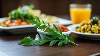 Boost Your Immunity: 5 Delicious Breakfasts Featuring Nutrient-Rich Curry Leaves