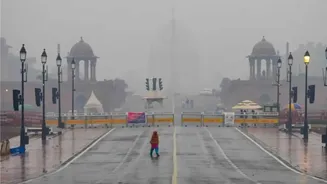 IMD predicts fog, cooler days ahead for Delhi, North India