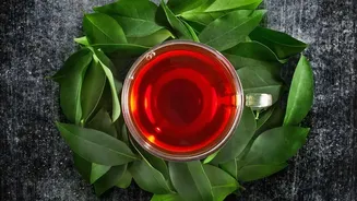 How To Craft Refreshing Cold Brewed Teas Using Regional Leaves And Fresh Fruits