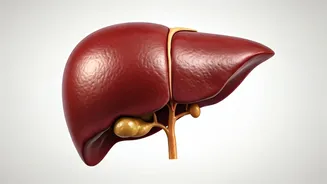 Cholesterol Chronicles: Diet's Impact Explained