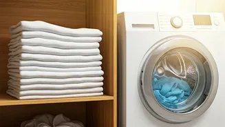 Mastering Laundry: Expert Tips for Fresher Clothes & Cleaner Homes