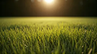 Patience is a Virtue: How Long to Wait Before Walking on New Grass