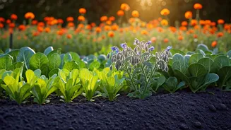 Effortless Spring Sowing: 8 Easy Seeds for a Blooming Garden and Bountiful Harvests