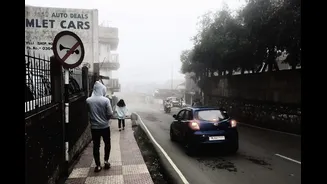 Driving Safely in Winter Fog: Essential Tips for India