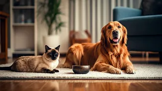 Furry Family Members Attend Sound Healing Sessions For Anxiety Treatment