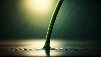 Hair Fall Anxiety Is Back With The Monsoon